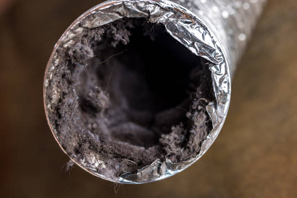 Best Commercial Air Duct Cleaning  in Kissee Mills, MO